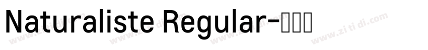 Naturaliste Regular字体转换